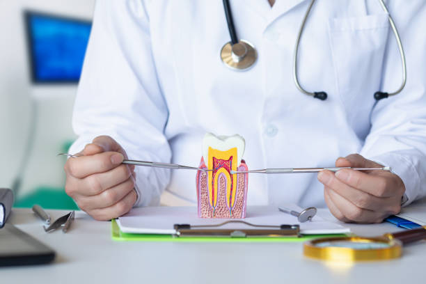 Best Emergency Dental Care for Broken or Chipped Teeth in Keshena, WI